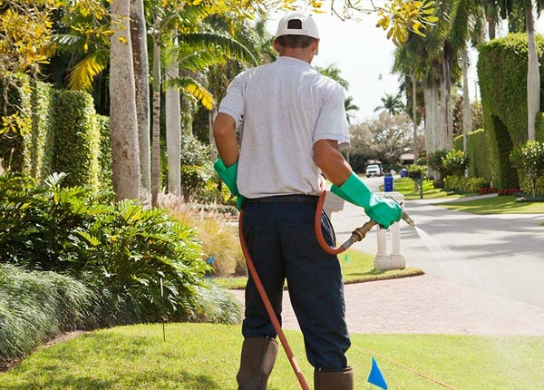 About Walford IA Pest Control